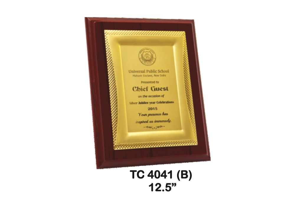 Metal Frame Trophy in Delhi