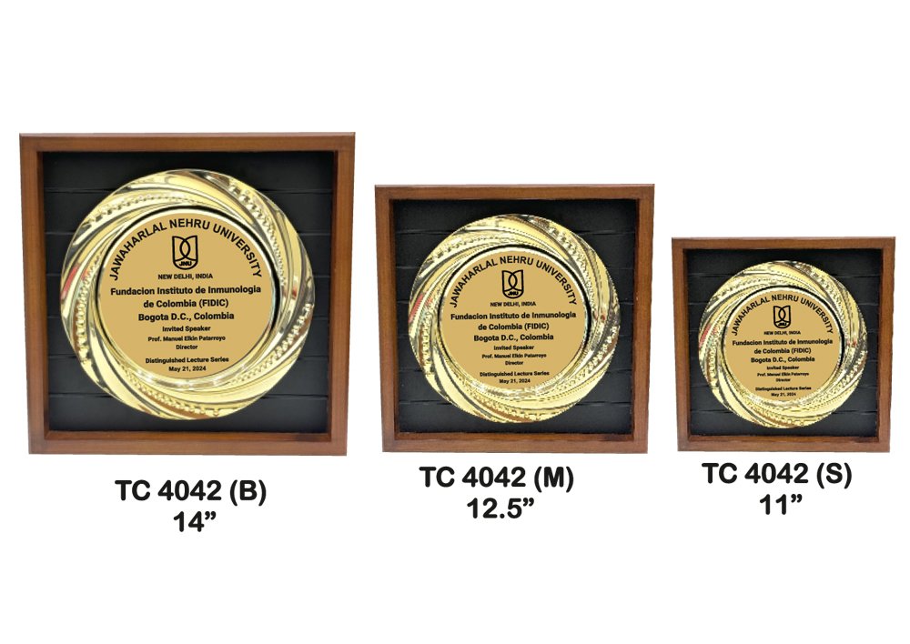 Metal Frame Trophy in Delhi