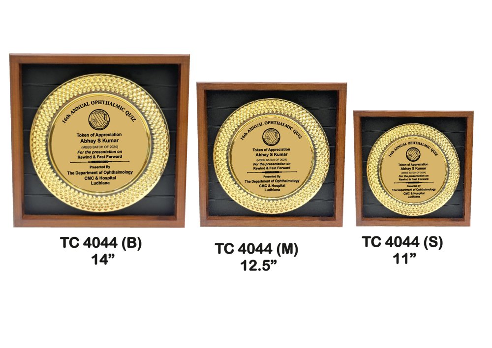 Metal Frame Trophy in Delhi