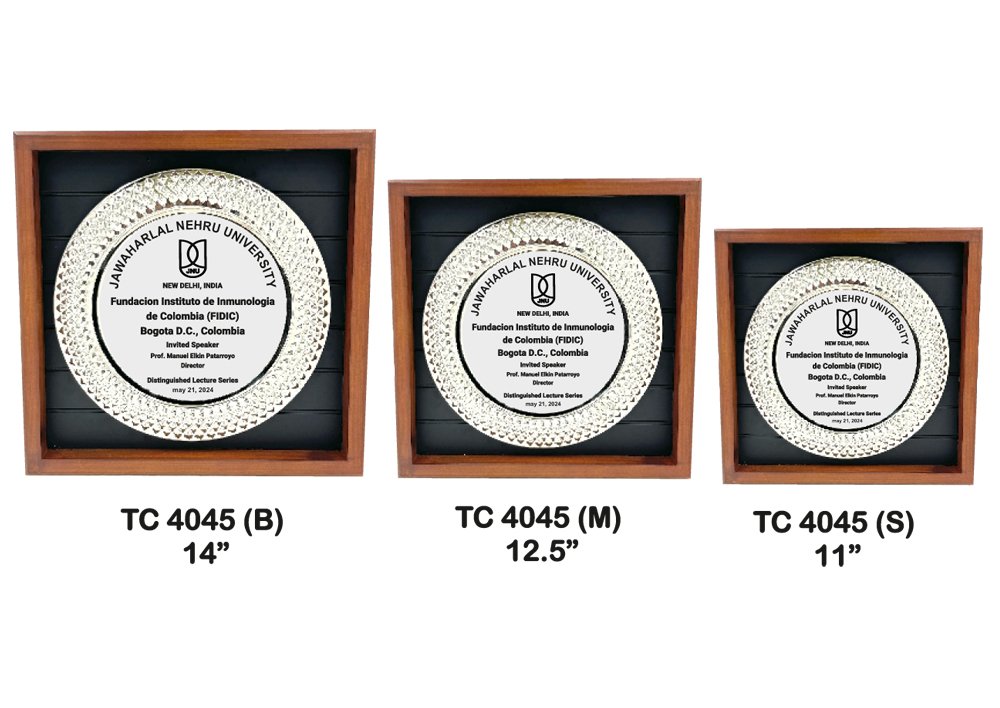 Metal Frame Trophy in Delhi