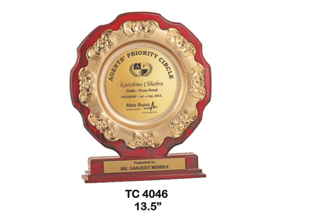 Metal Frame Trophy in Delhi
