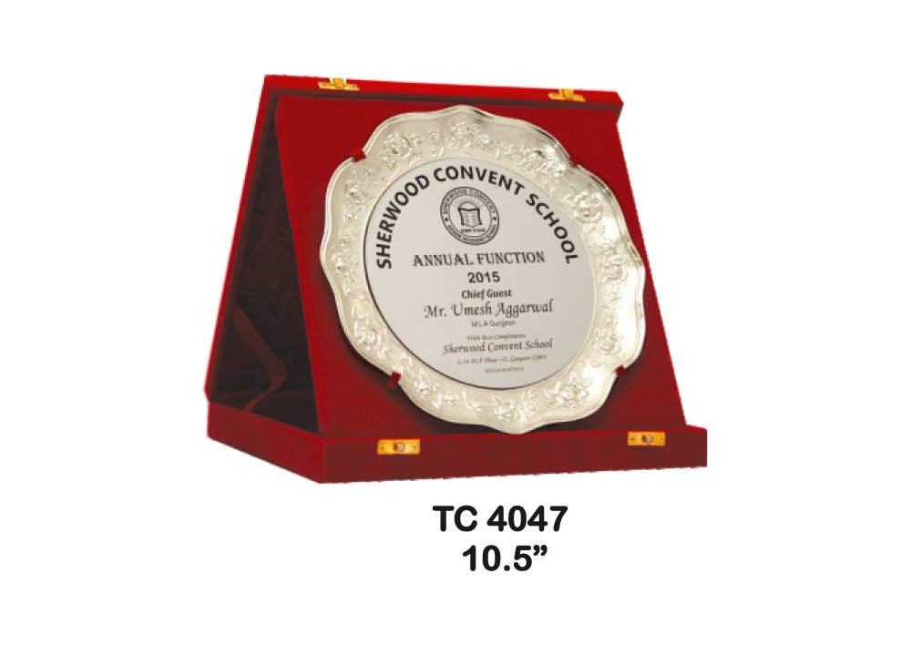 Metal Frame Trophy in Delhi