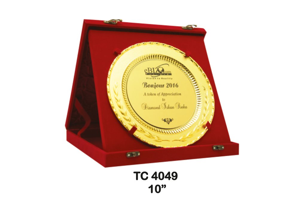 Metal Frame Trophy in Delhi
