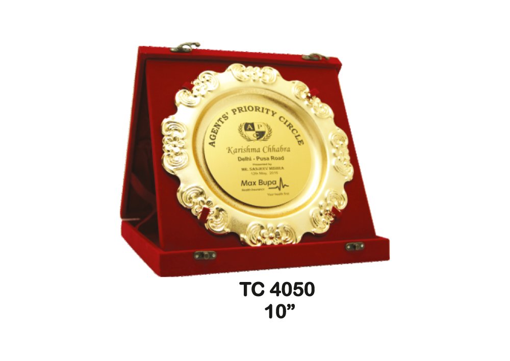 Metal Frame Trophy in Delhi