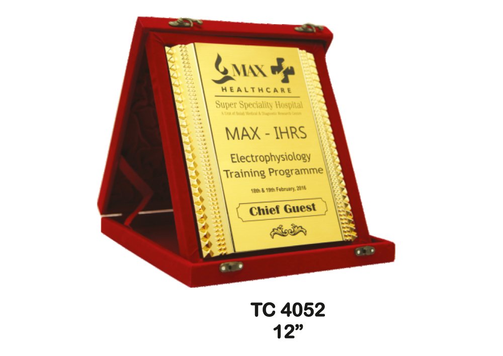 Metal Frame Trophy in Delhi