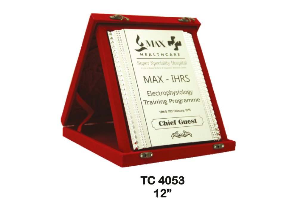 Metal Frame Trophy in Delhi