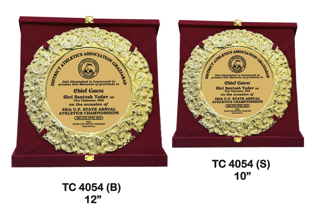 Metal Frame Trophy in Delhi