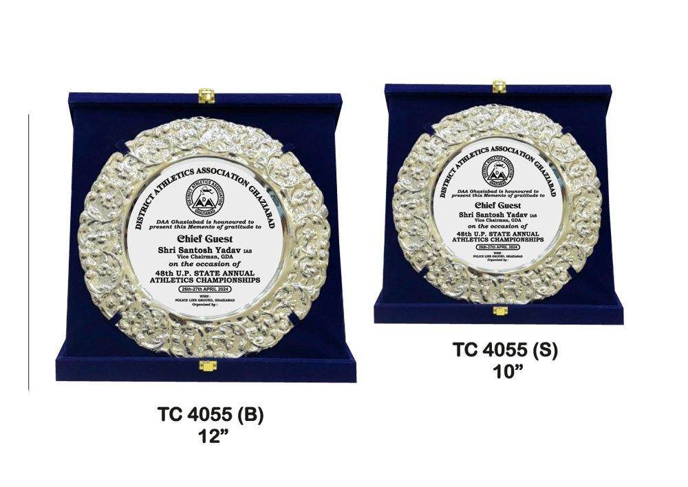 Metal Frame Trophy in Delhi
