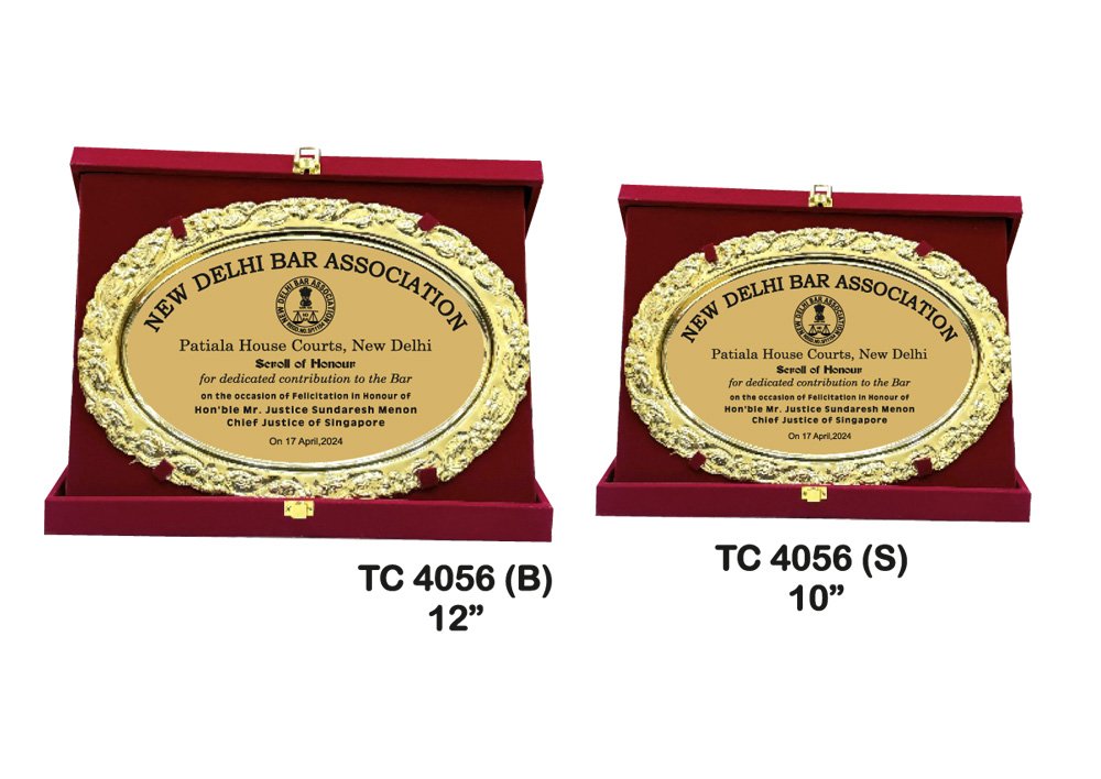 Metal Frame Trophy in Delhi