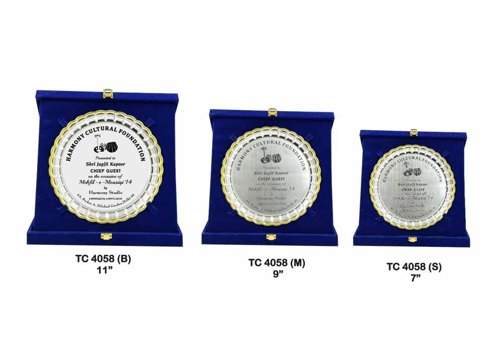 Metal Frame Trophy in Delhi
