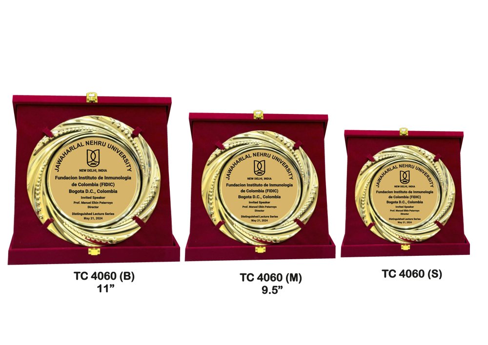 Metal Frame Trophy in Delhi