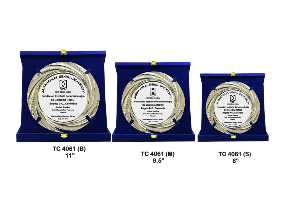 Metal Frame Trophy in Delhi