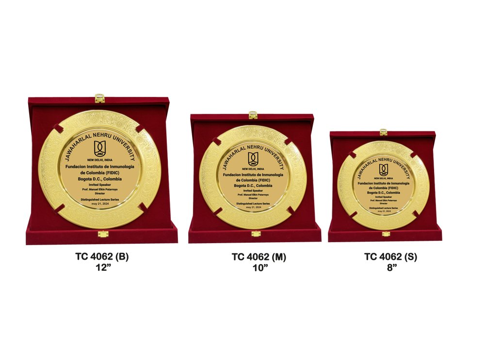 Metal Frame Trophy in Delhi