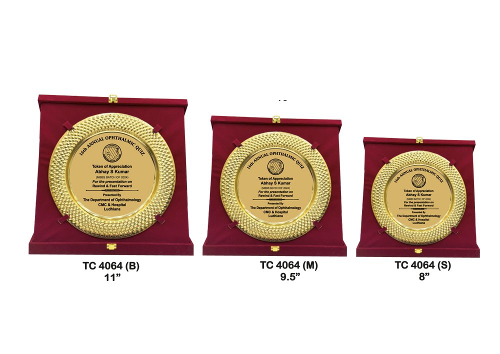 Metal Frame Trophy in Delhi