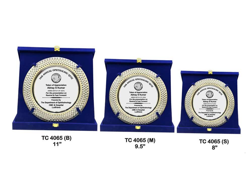 Metal Frame Trophy in Delhi