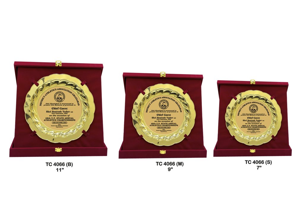 Metal Frame Trophy in Delhi