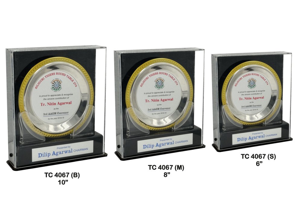 Metal Frame Trophy in Delhi