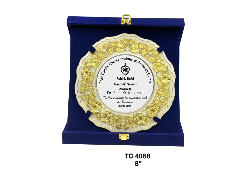 Metal Frame Trophy in Delhi