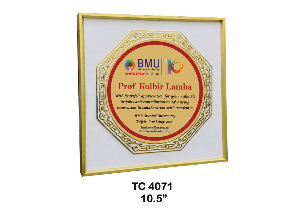 Metal Frame Trophy in Delhi