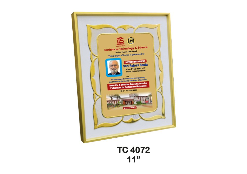 Metal Frame Trophy in Delhi