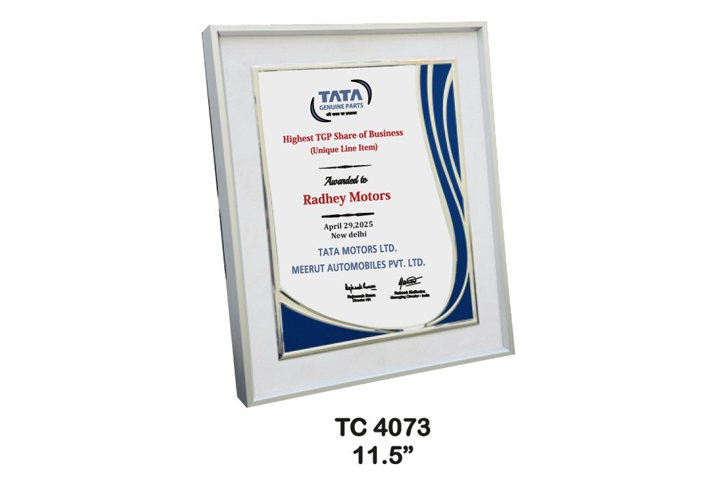 Metal Frame Trophy in Delhi