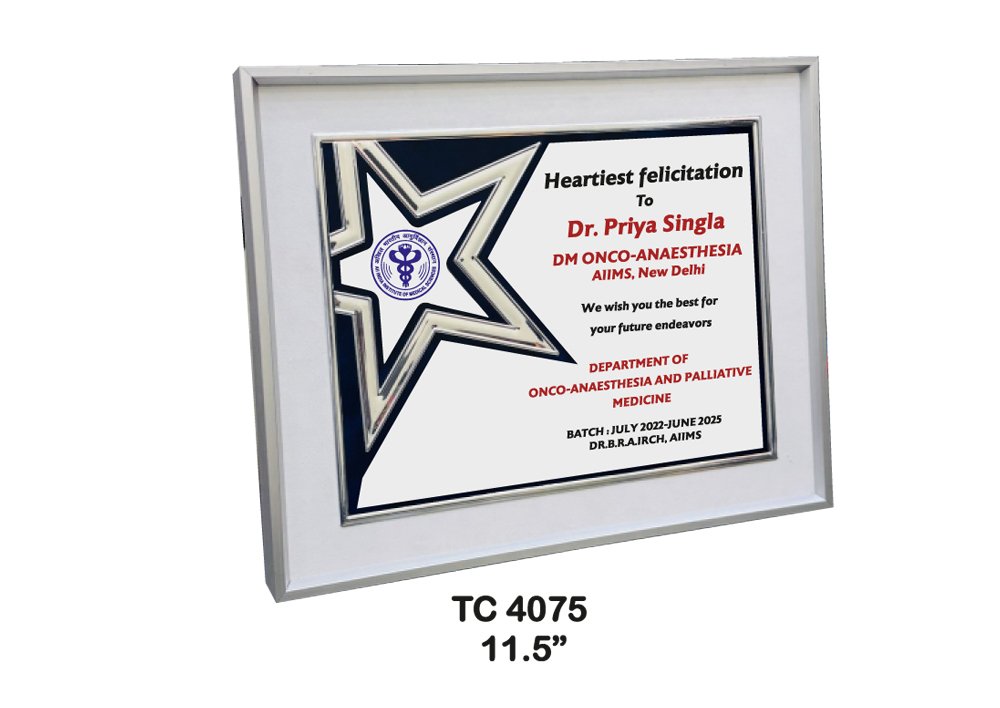 Metal Frame Trophy in Delhi