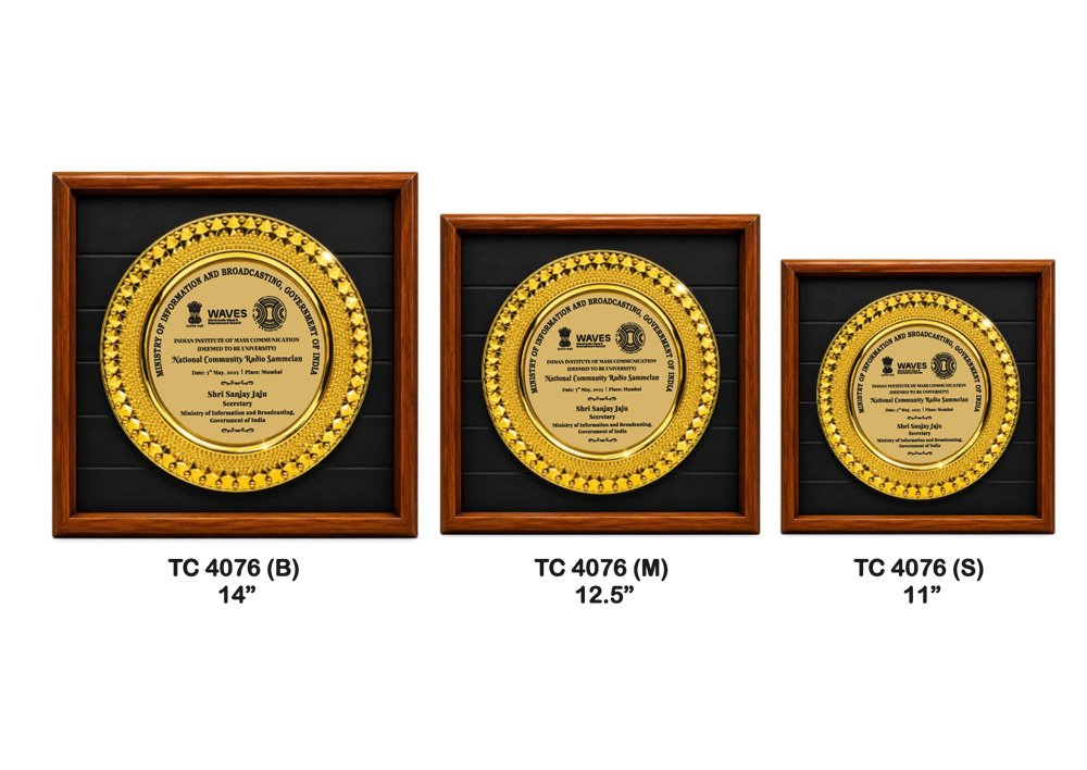 Metal Frame Trophy in Delhi