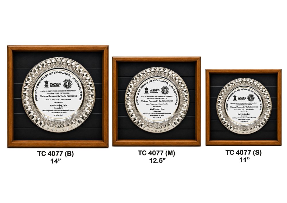 Metal Frame Trophy in Delhi