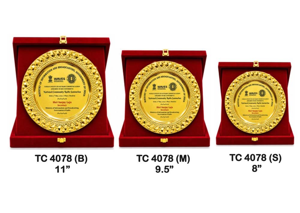 Metal Frame Trophy in Delhi