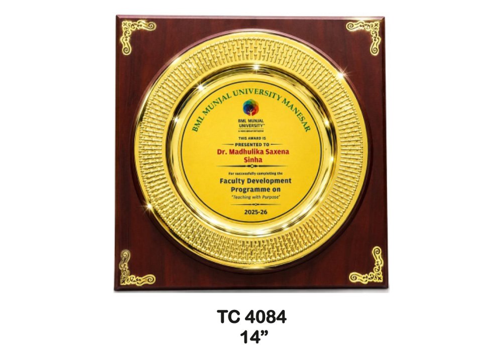 Metal Frame Trophy in Delhi