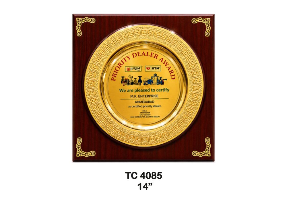 Metal Frame Trophy in Delhi