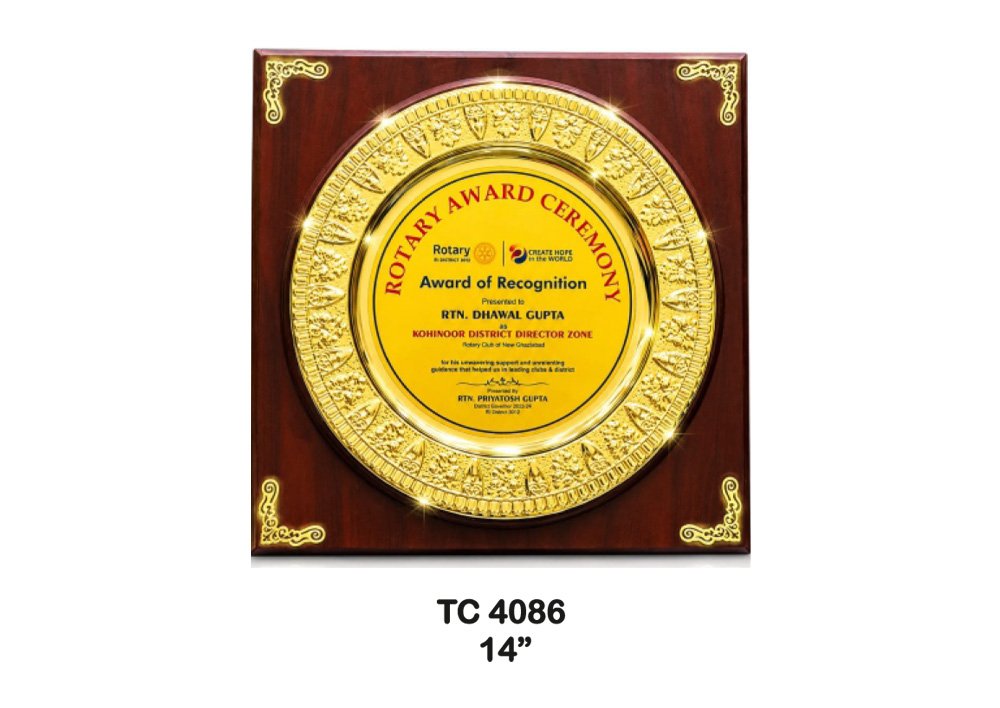 Metal Frame Trophy in Delhi