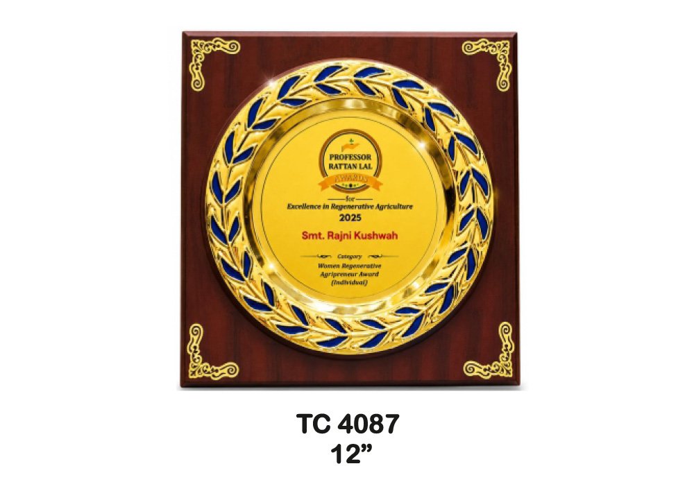 Metal Frame Trophy in Delhi