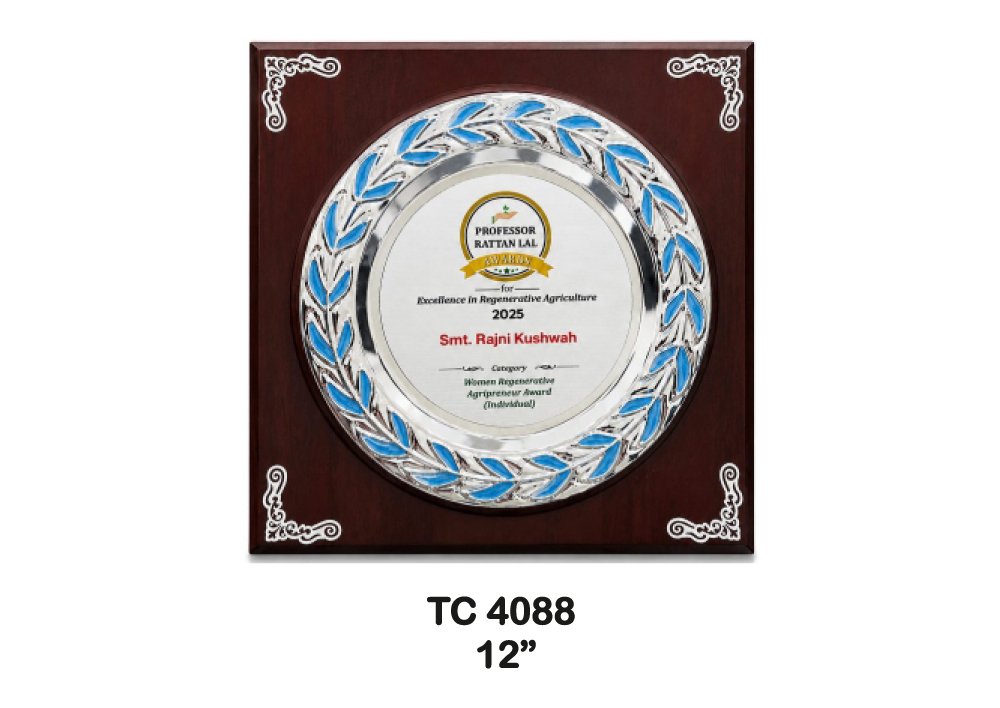 Metal Frame Trophy in Delhi