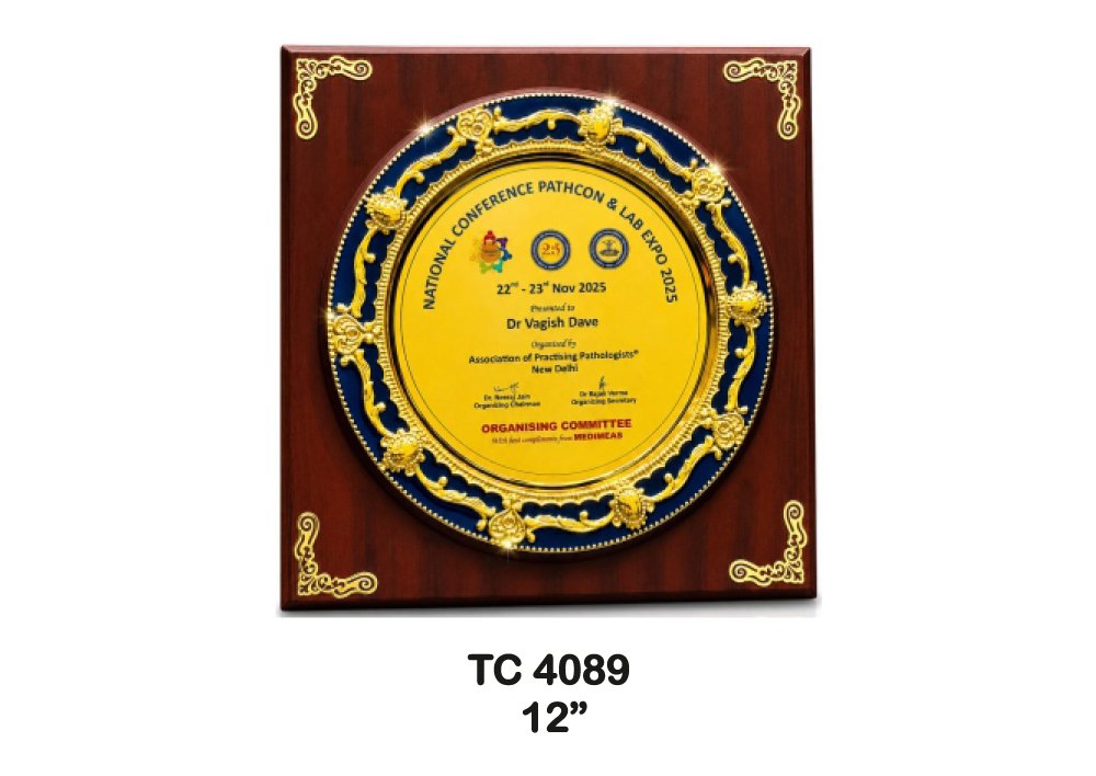 Metal Frame Trophy in Delhi
