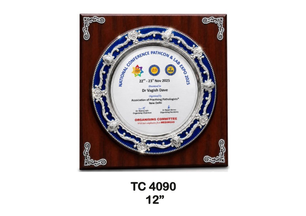Metal Frame Trophy in Delhi