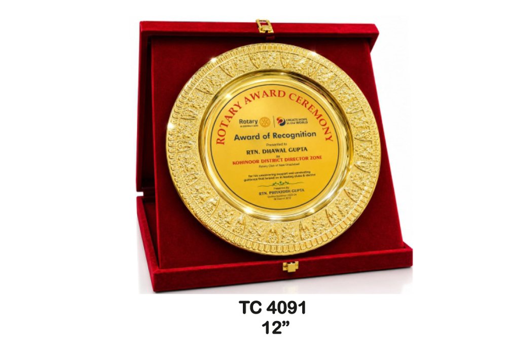 Metal Frame Trophy in Delhi
