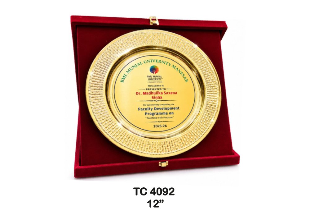 Metal Frame Trophy in Delhi