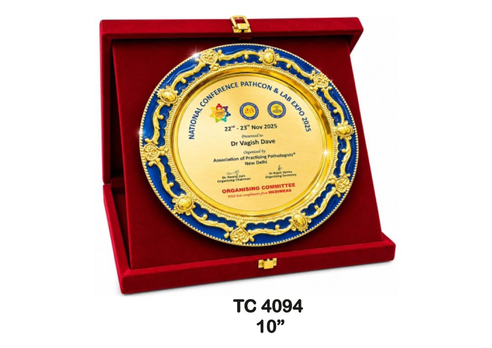 Metal Frame Trophy in Delhi