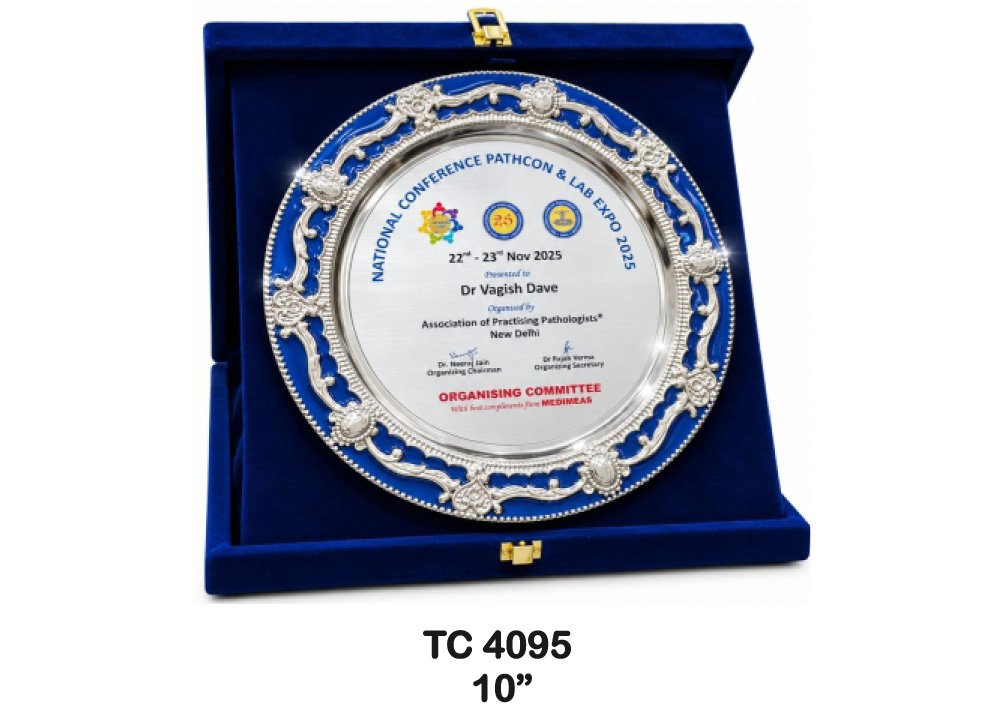 Metal Frame Trophy in Delhi