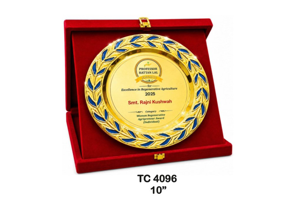 Metal Frame Trophy in Delhi