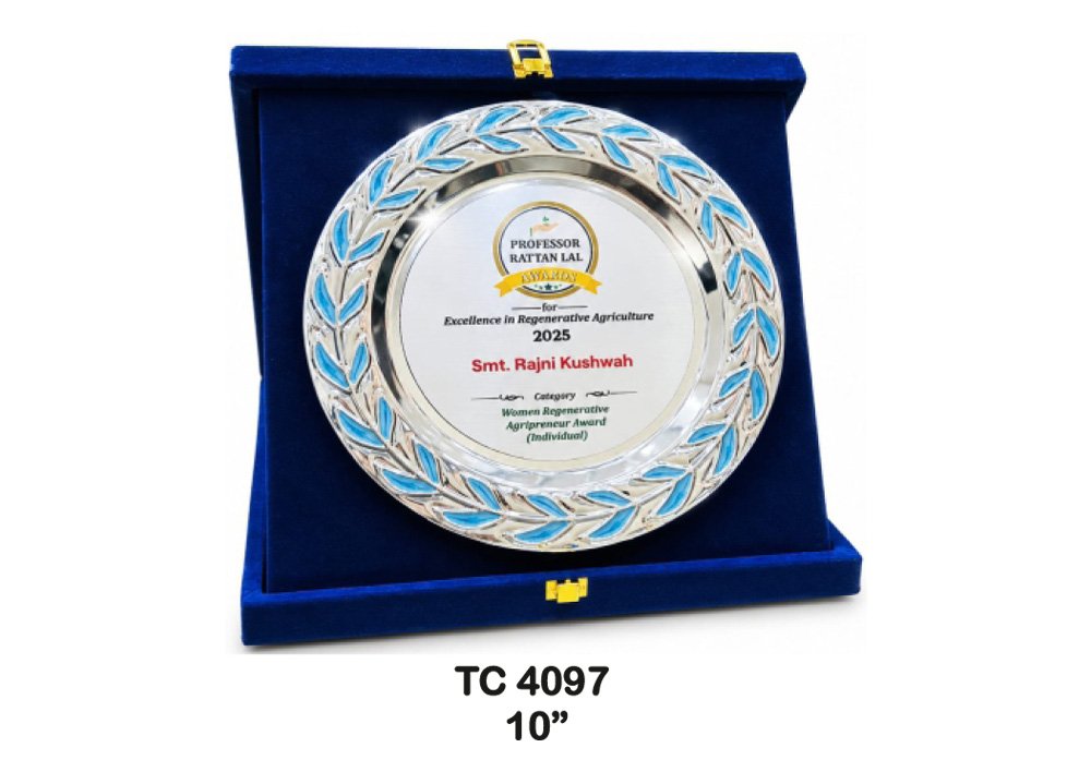 Metal Frame Trophy in Delhi
