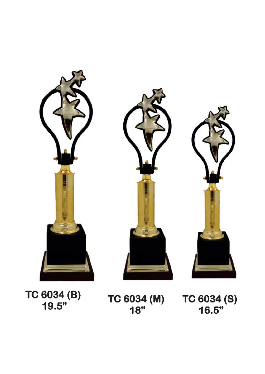 Metal Trophy for Exhibitions in India