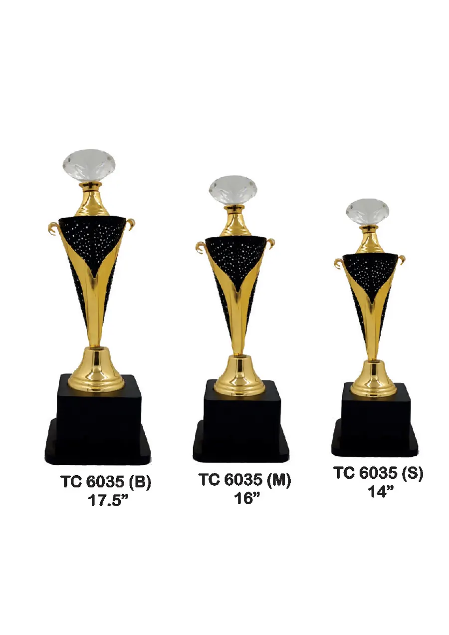 Metal Trophy for Events in India