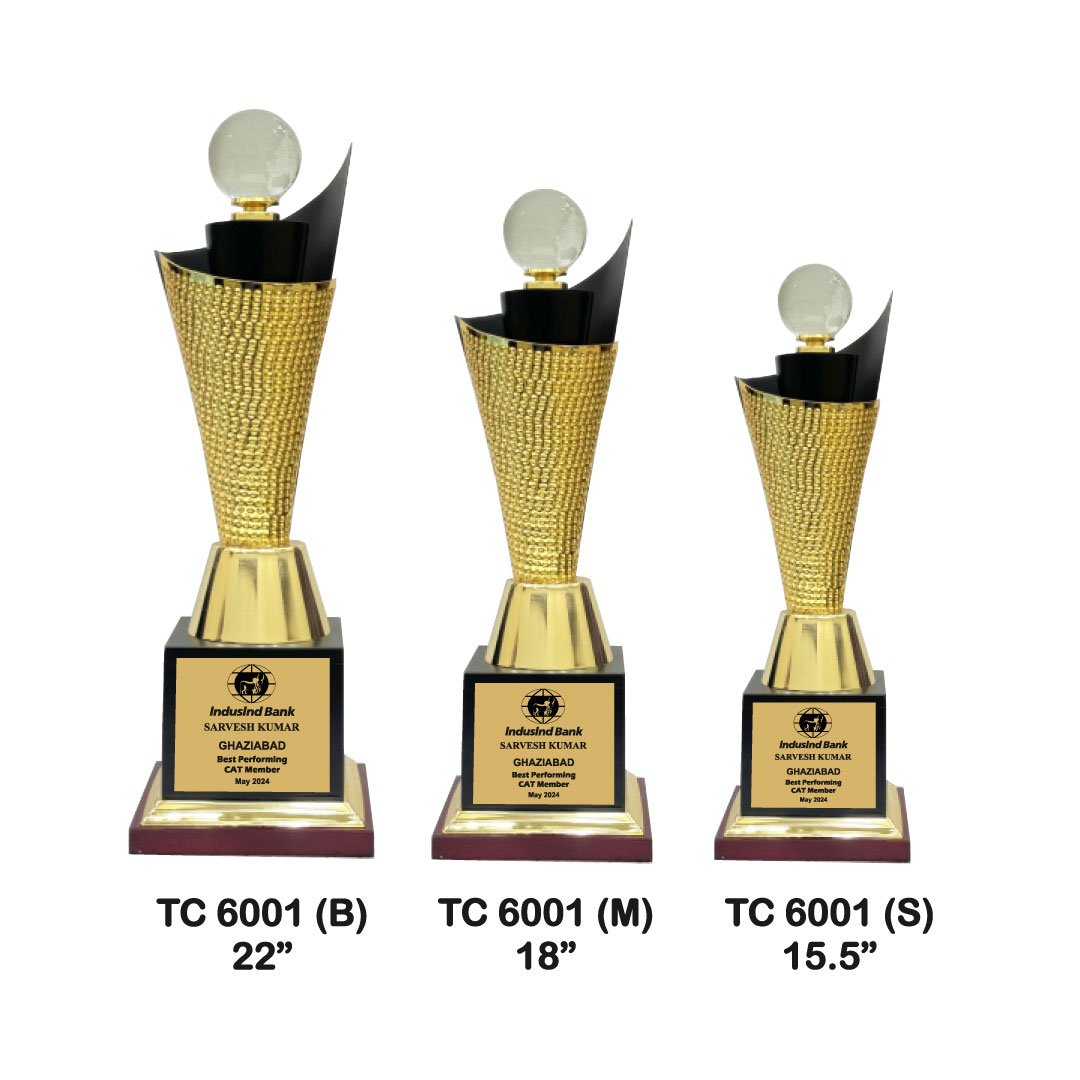 Award Manufacturer in Delhi