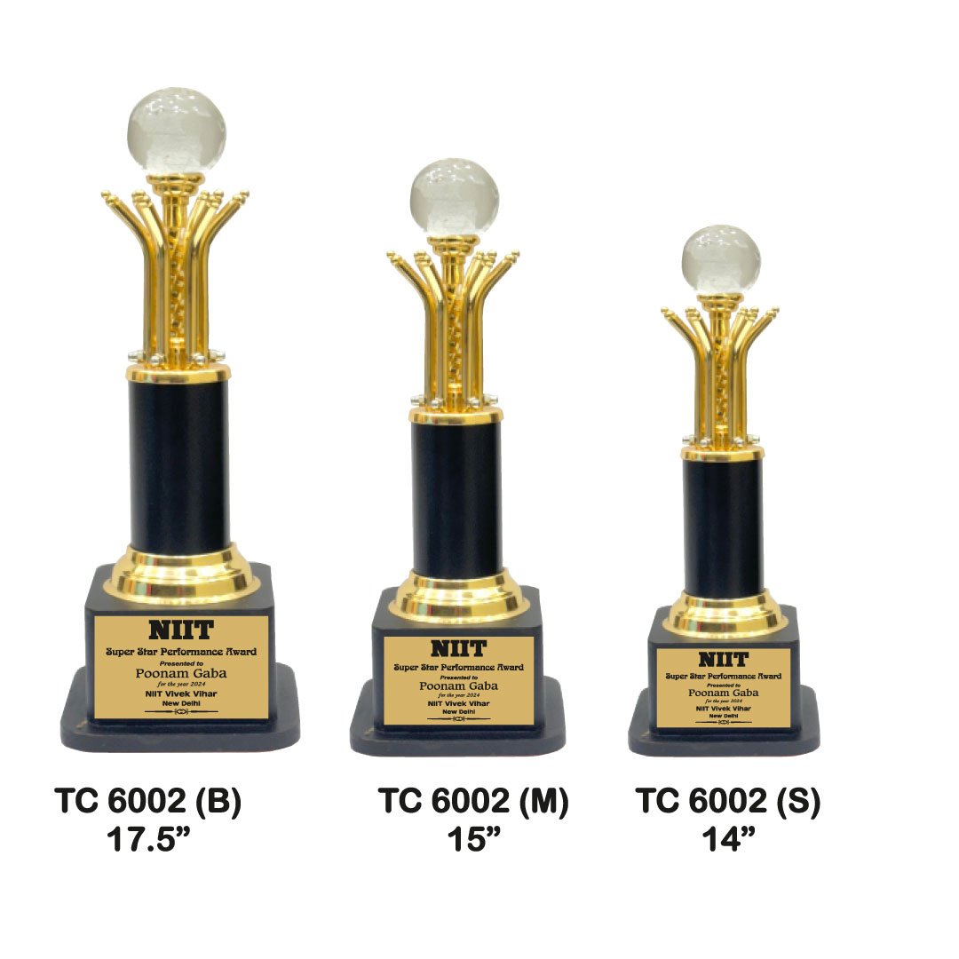 Award Manufacturer in Delhi