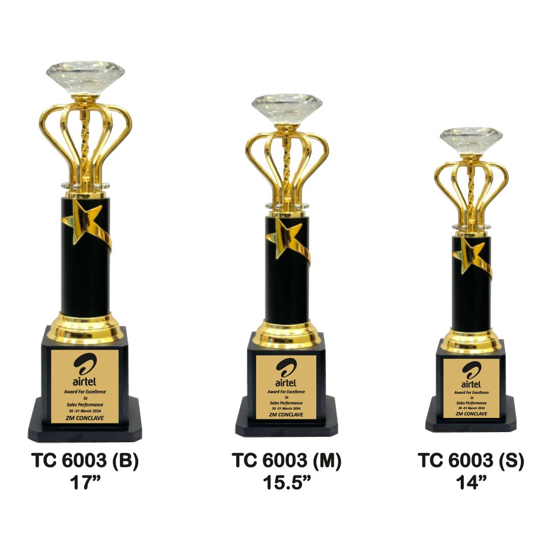 Award Manufacturer in Delhi