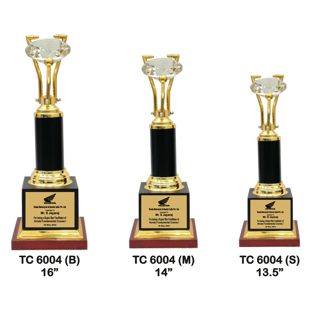 Award Manufacturer in Delhi