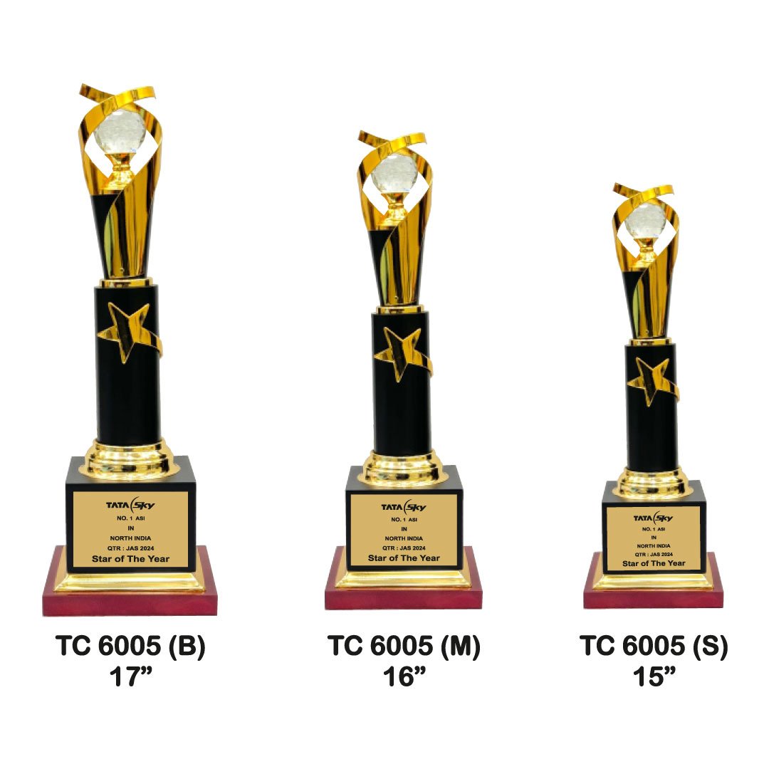 Award Manufacturer in Delhi