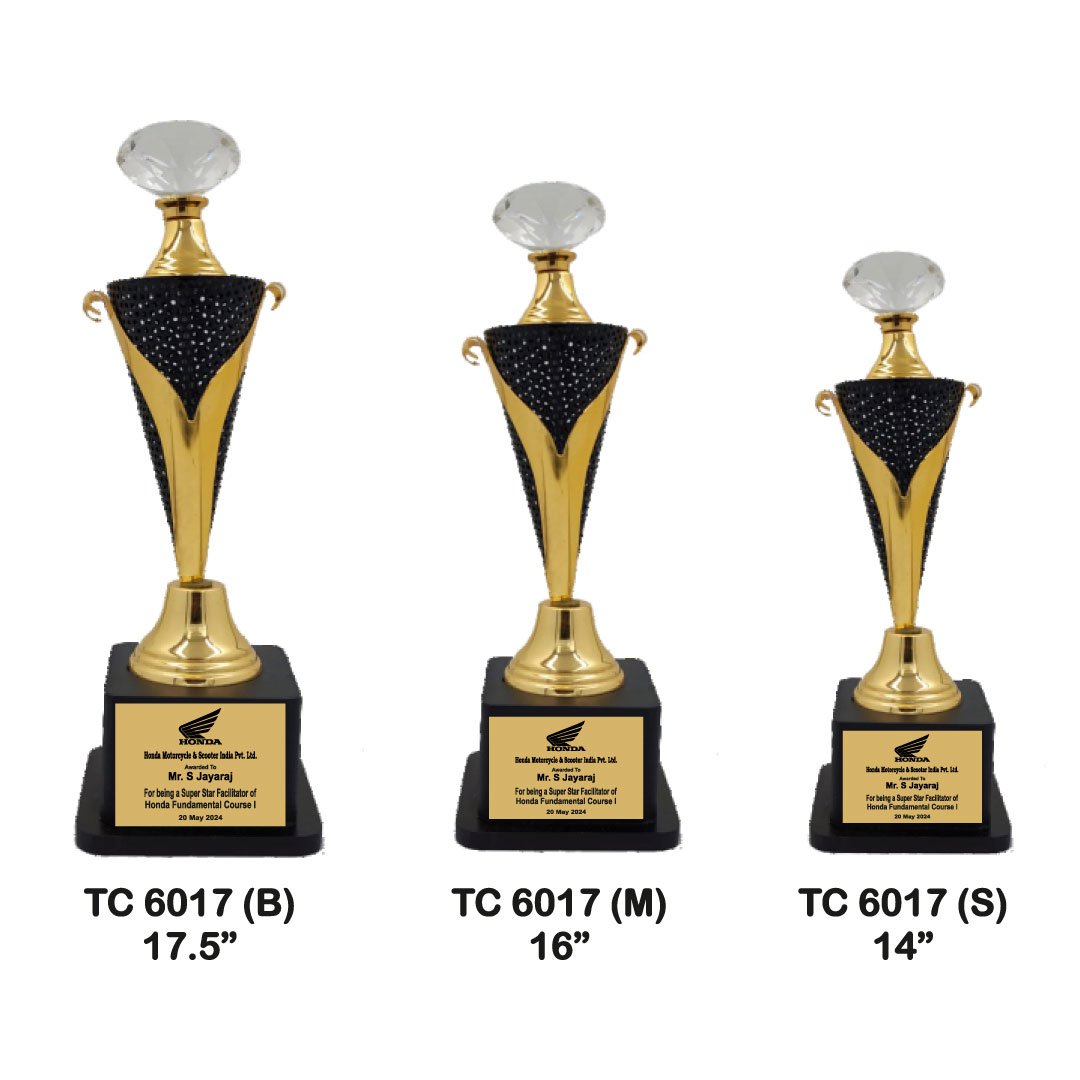 Award Manufacturer in Delhi